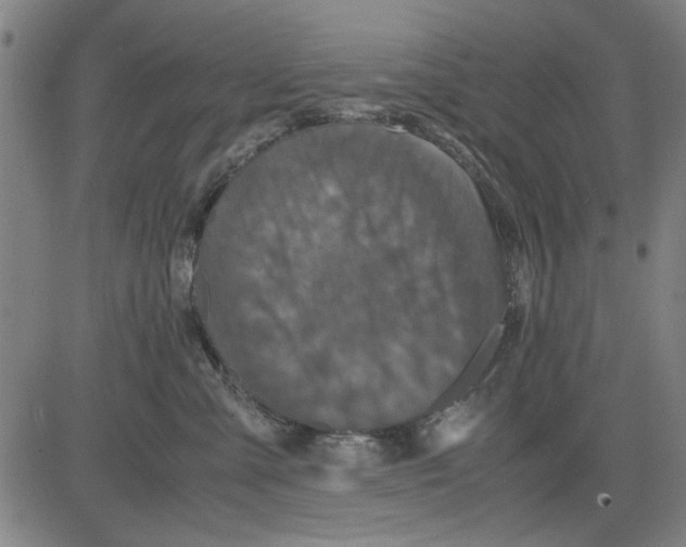 X0000081430427200702021657