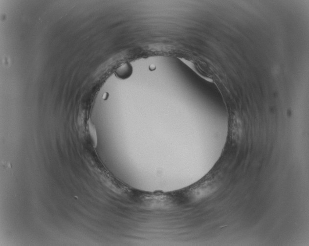 X0000081430428200702021657