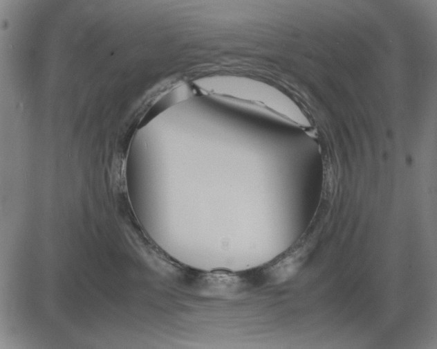 X0000081430429200702021657