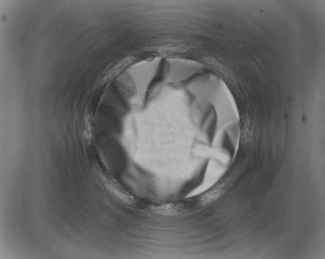 X0000081430430200702021657