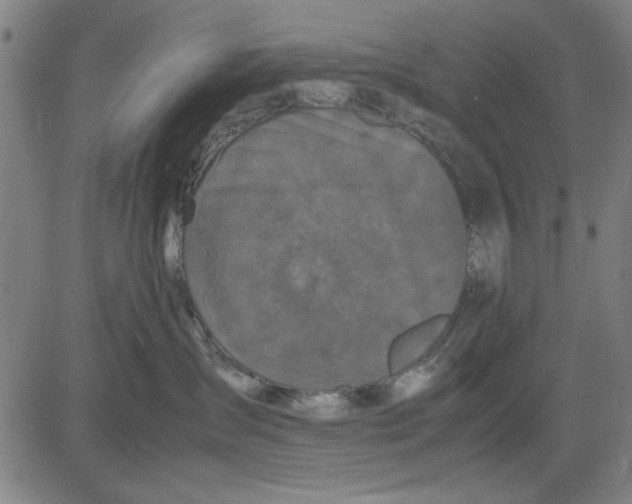 X0000081430431200702021657