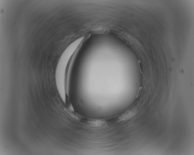 X0000081430432200702021657