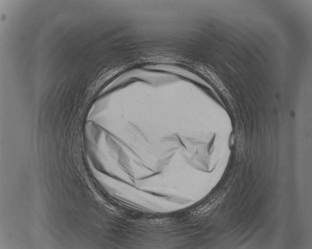 X0000081430433200702021656