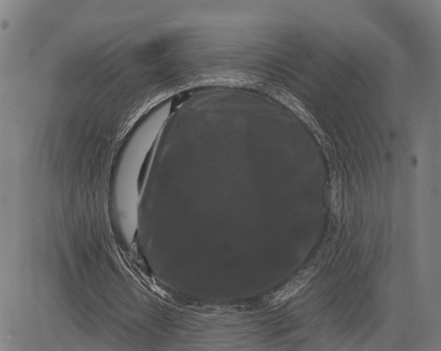 X0000081430434200702021656