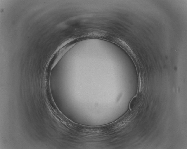 X0000081430435200702021656