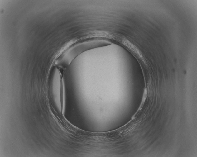 X0000081430436200702021656