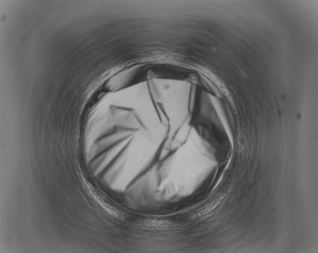 X0000081430437200702021656