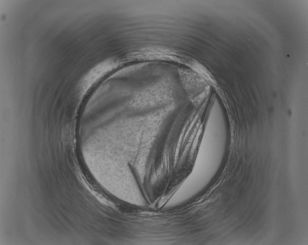 X0000081430438200702021656