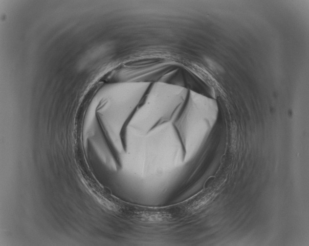 X0000081430439200702021656