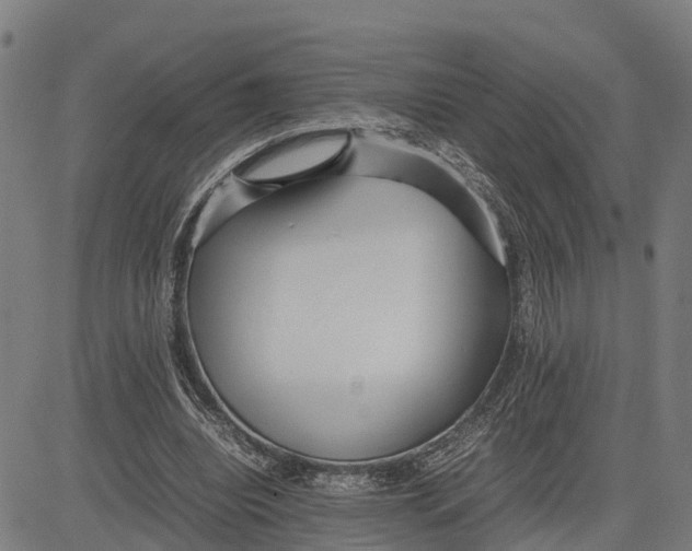 X0000081430440200702021656