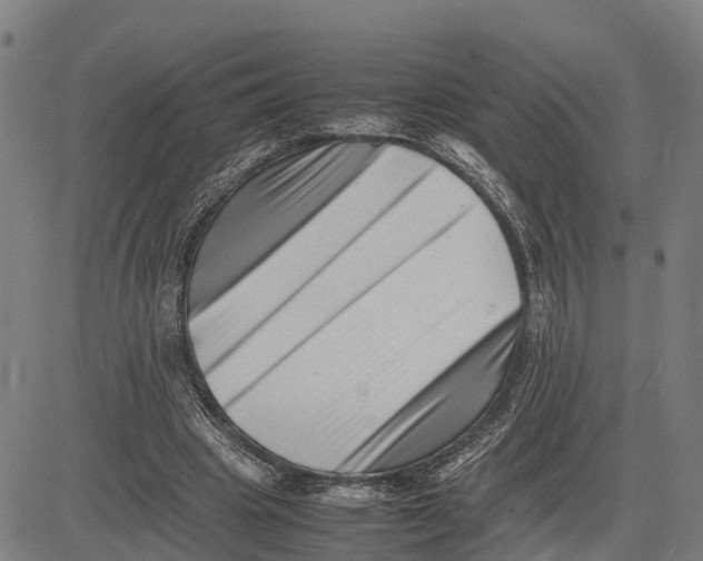 X0000081430441200702021656