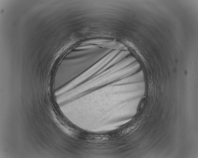 X0000081430443200702021656