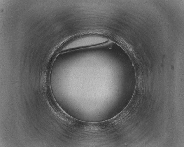 X0000081430444200702021656