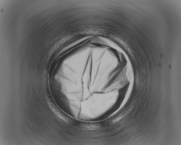 X0000081430445200702021656