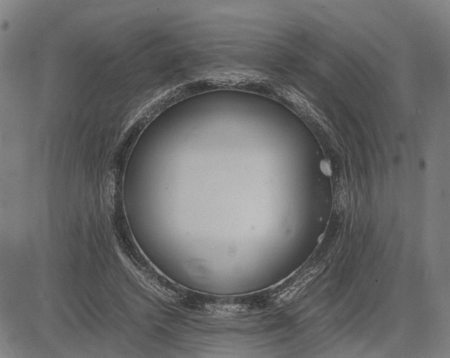 X0000081430448200702021656