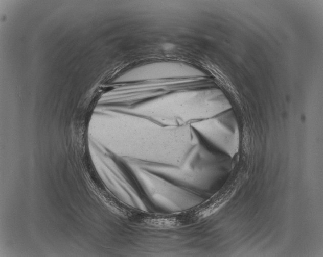 X0000081430449200702021656