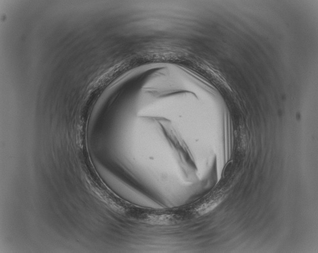 X0000081430450200702021656