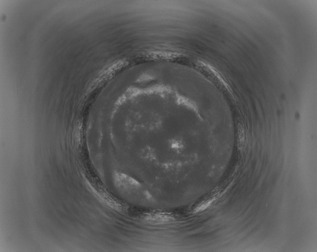 X0000081430451200702021656