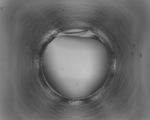 X0000081430452200702021656