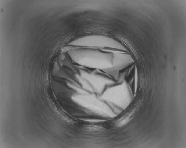 X0000081430453200702021656