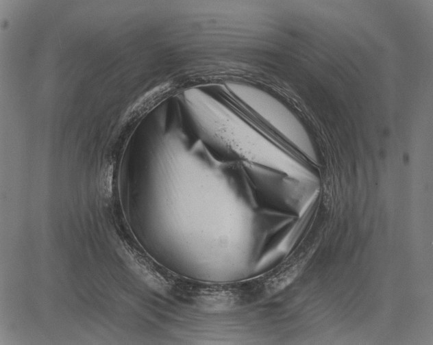 X0000081430454200702021656