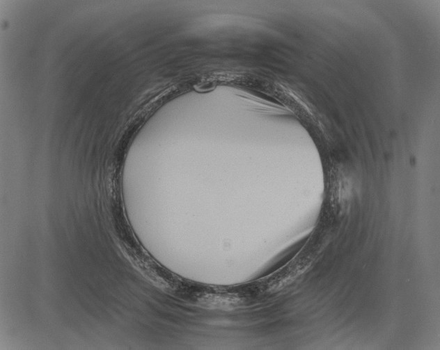 X0000081430455200702021656