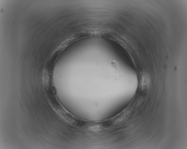 X0000081430456200702021656