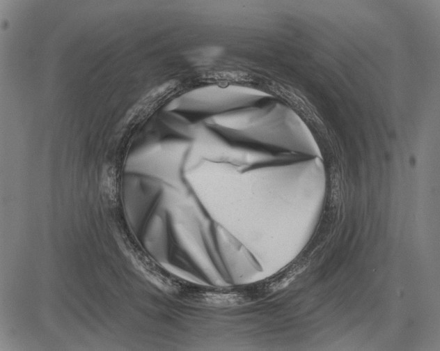 X0000081430457200702021656