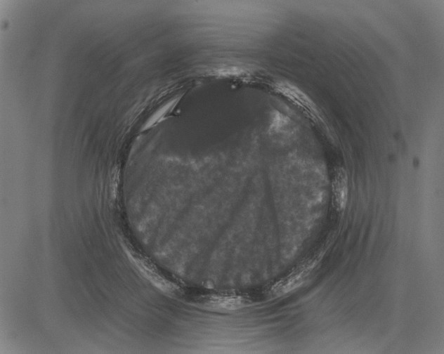 X0000081430458200702021656