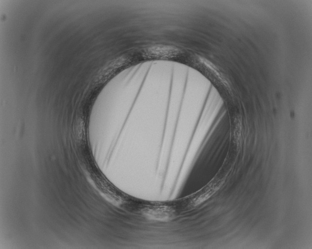 X0000081430459200702021657