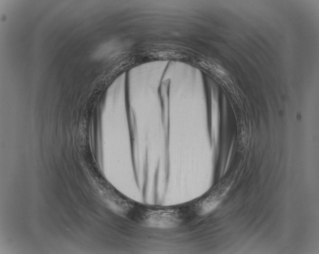 X0000081430461200702021657