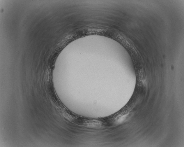 X0000081430463200702021657