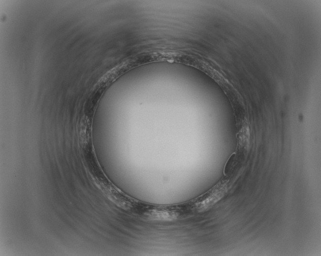 X0000081430464200702021657