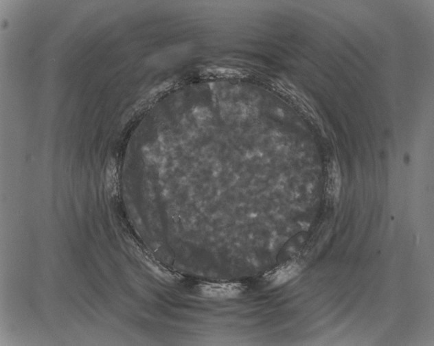 X0000081430465200702021657