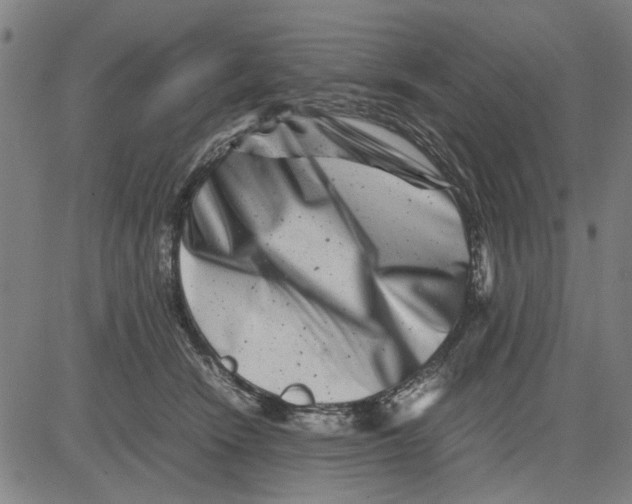 X0000081430466200702021657