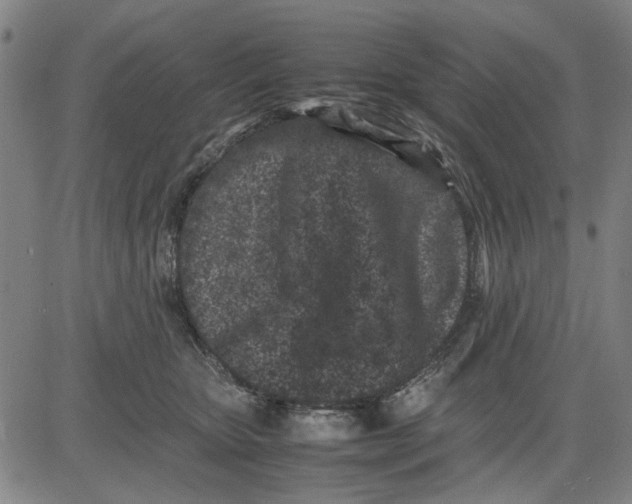 X0000081430467200702021657