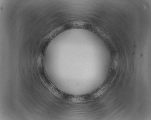 X0000081430468200702021657