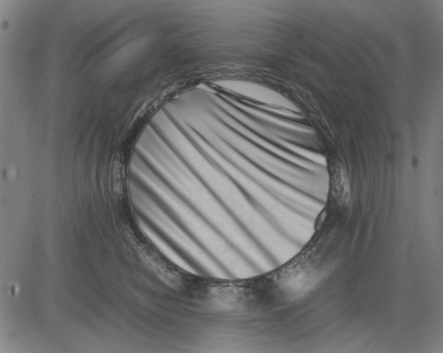 X0000081430470200702021657