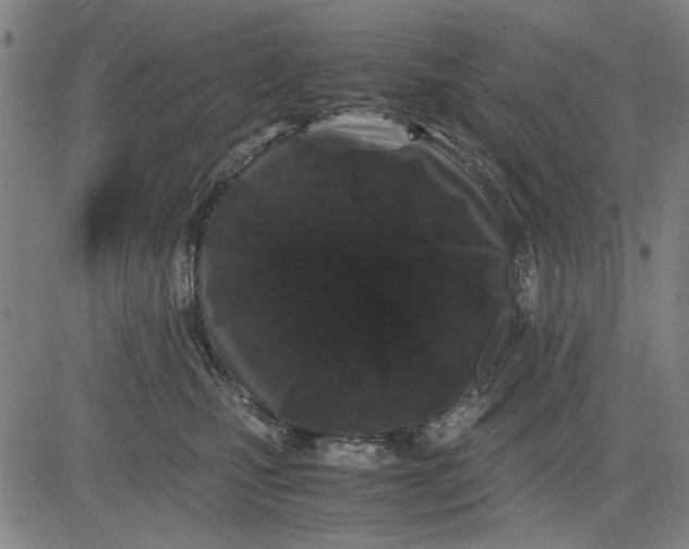 X0000081430471200702021657