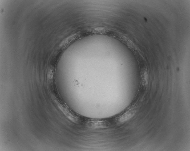 X0000081430472200702021657