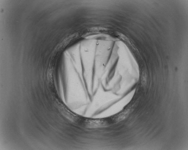 X0000081430473200702021657