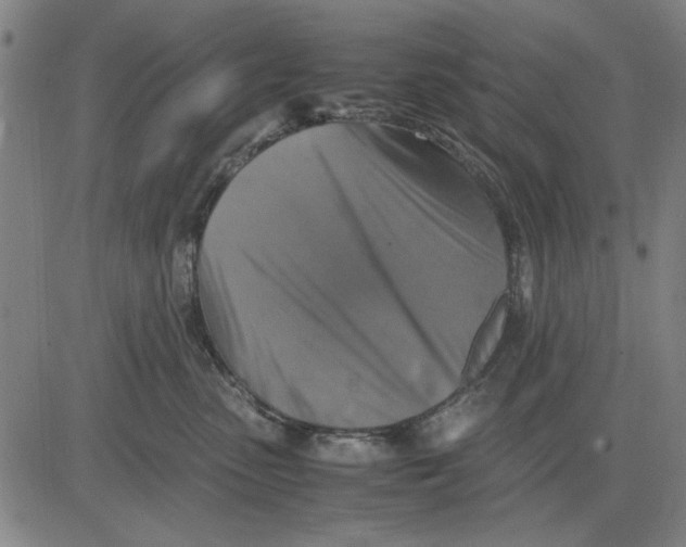 X0000081430475200702021657