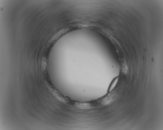 X0000081430476200702021657