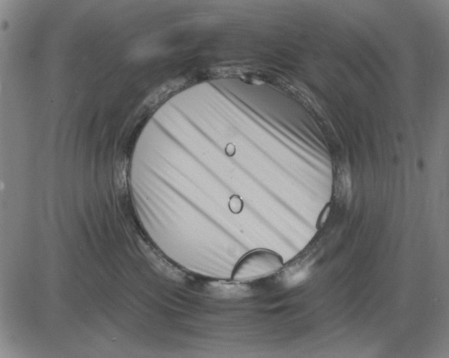 X0000081430477200702021657