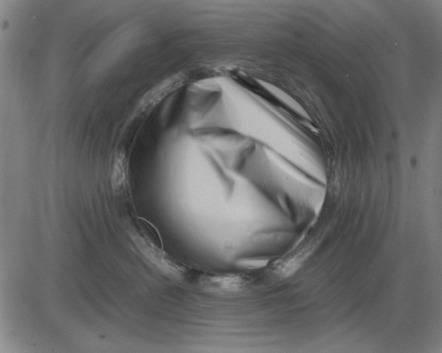 X0000081430478200702021657