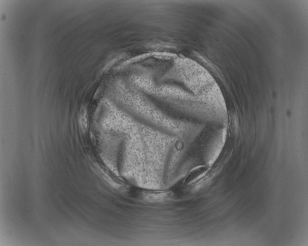 X0000081430479200702021657