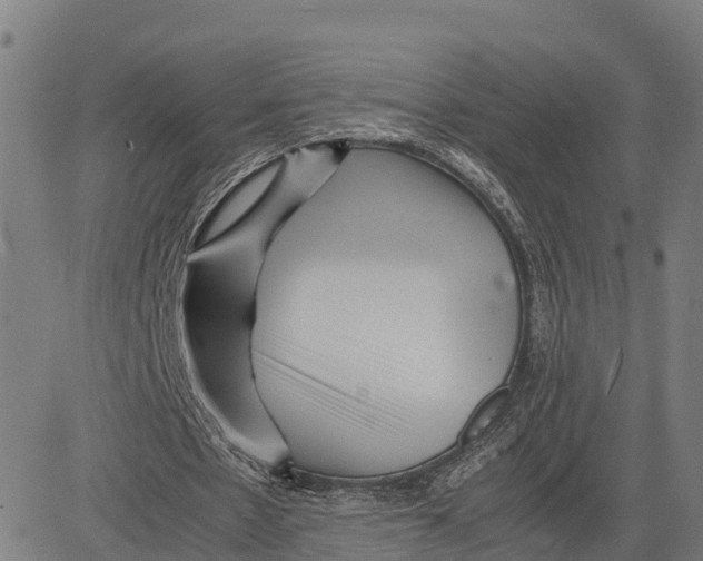 X0000081430481200702021656