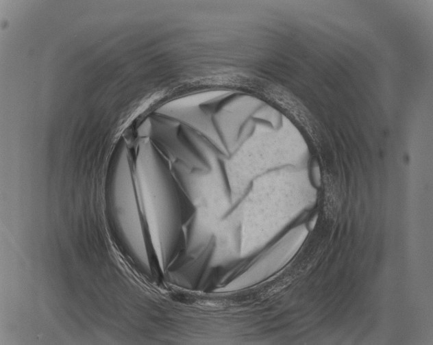 X0000081430482200702021656