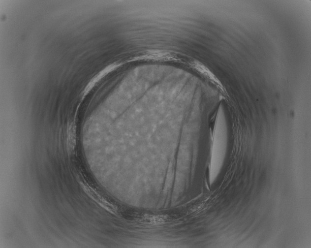 X0000081430484200702021656