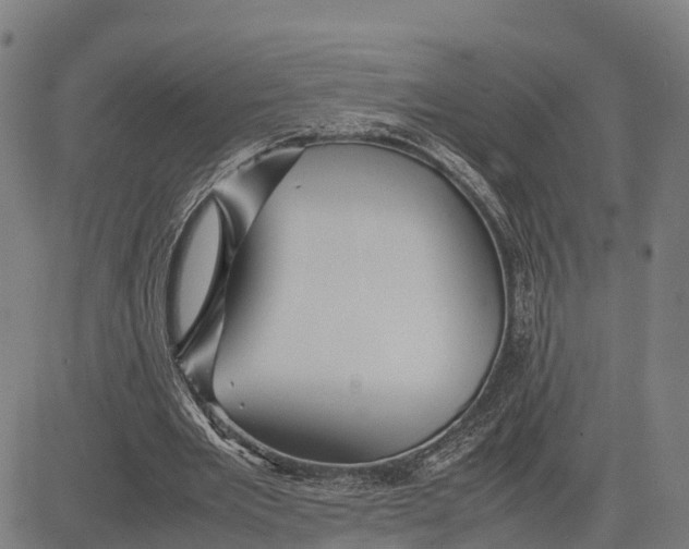 X0000081430485200702021656